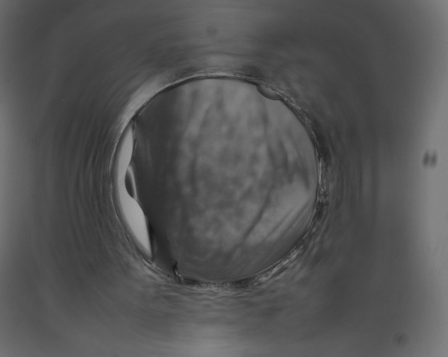 X0000092280099200710121412