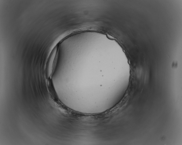 X0000092280100200710121411