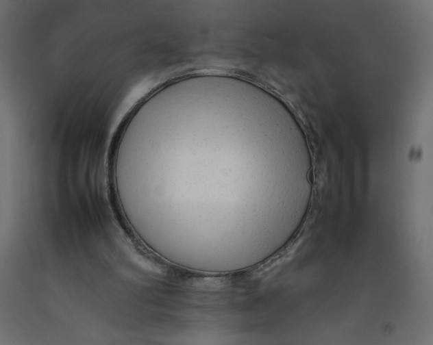 X0000092280102200710121411