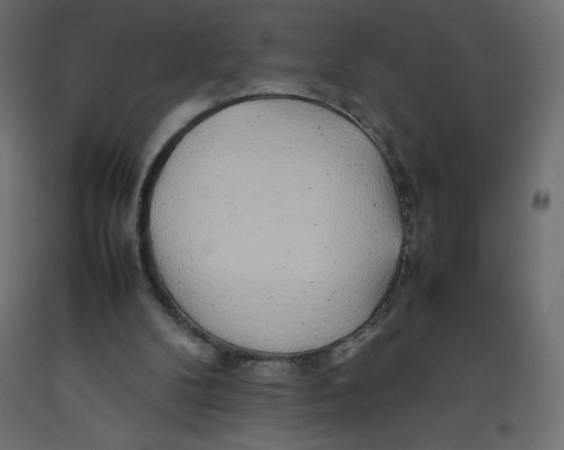 X0000092280104200710121411