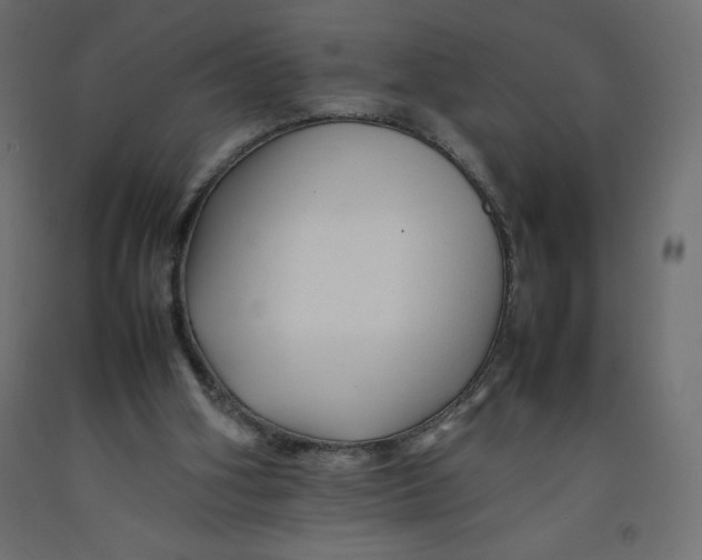 X0000092280106200710121411