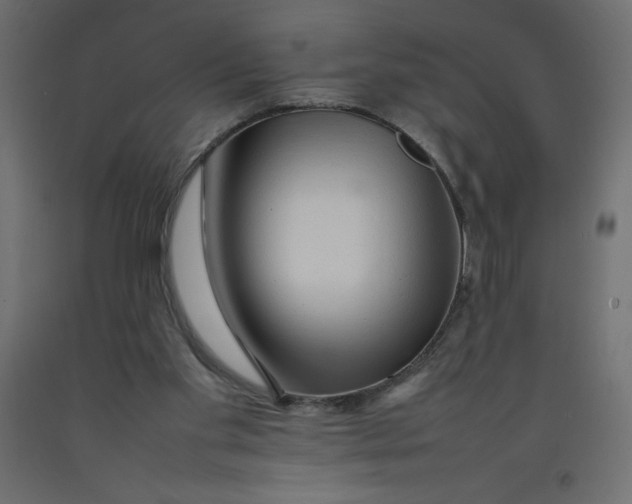 X0000092280109200710121411