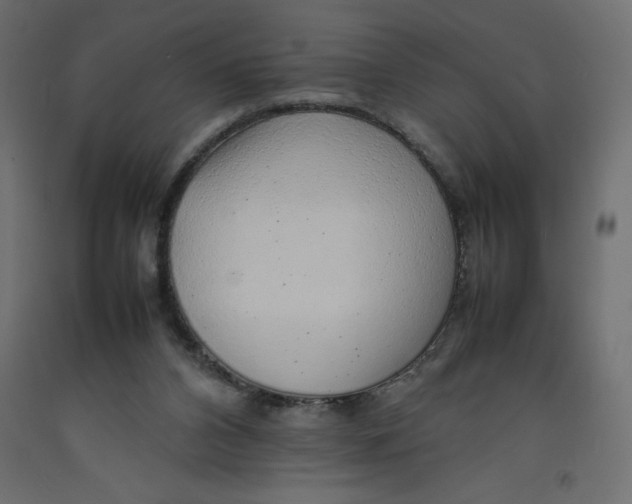 X0000092280112200710121411