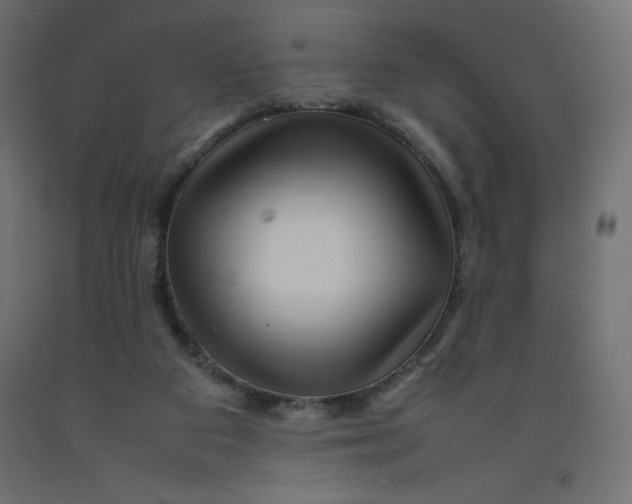 X0000092280113200710121411