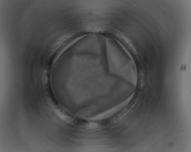 X0000092280114200710121411
