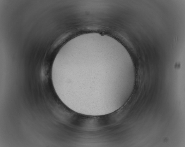 X0000092280116200710121411