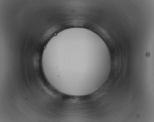 X0000092280120200710121411