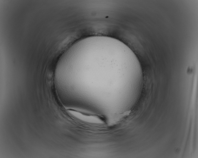 X0000092280123200710121411