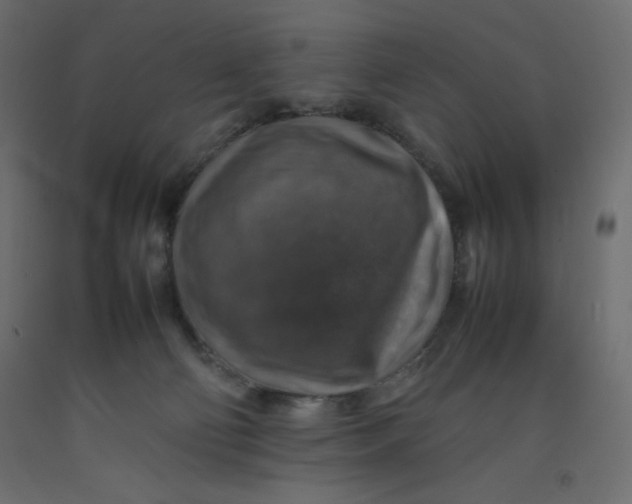 X0000092280130200710121411