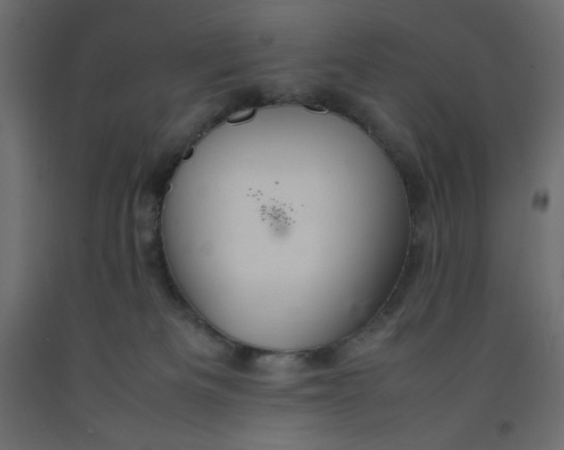 X0000092280133200710121411