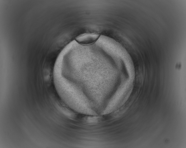 X0000092280134200710121411