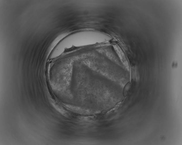 X0000092280147200710121410