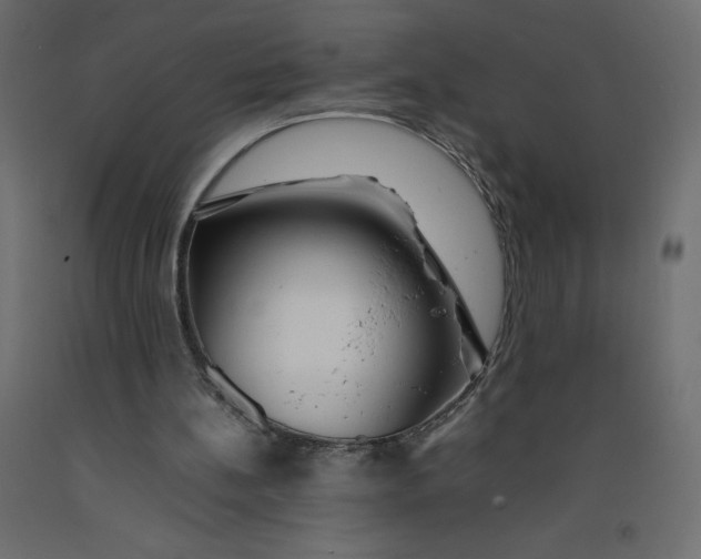 X0000092280148200710121410