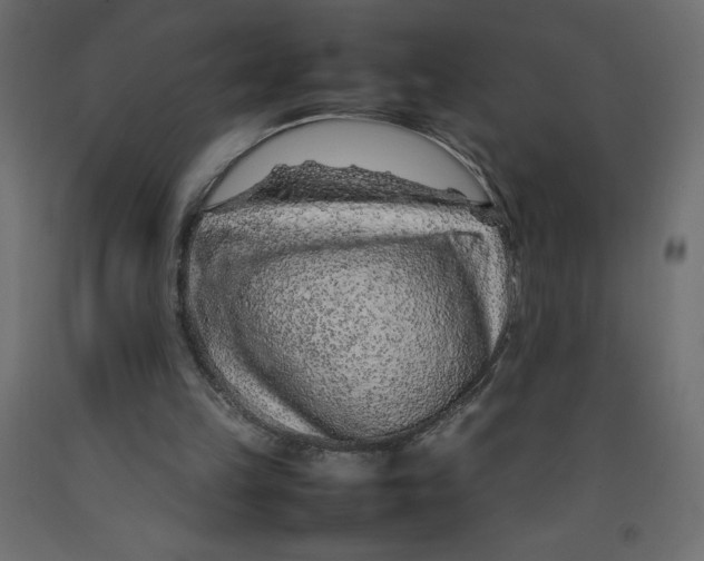 X0000092280149200710121410