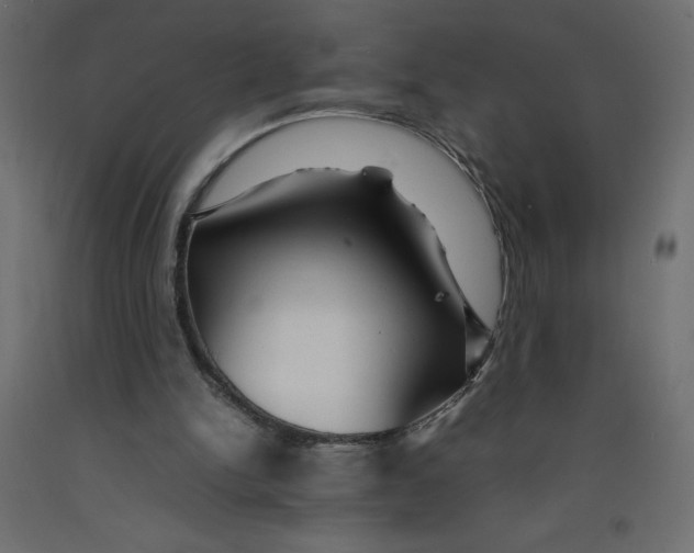 X0000092280150200710121410