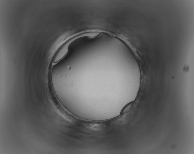 X0000092280151200710121410