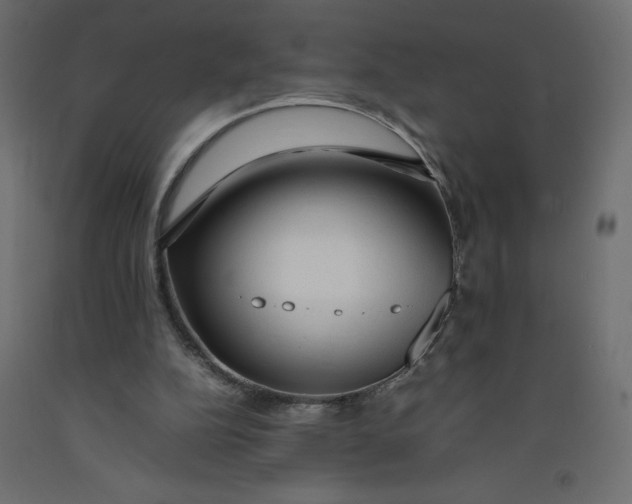 X0000092280152200710121410