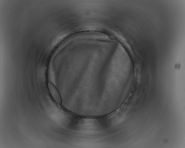 X0000092280154200710121410