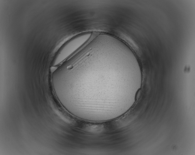 X0000092280155200710121410