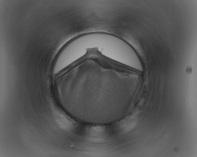 X0000092280156200710121410