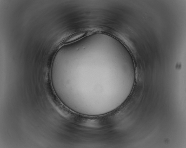 X0000092280157200710121411
