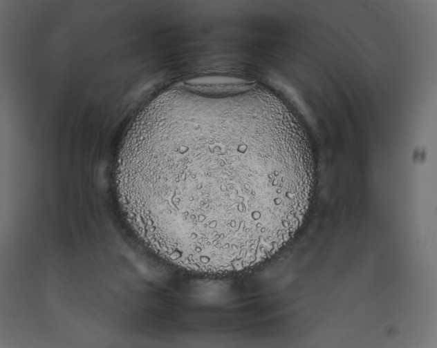X0000092280161200710121411