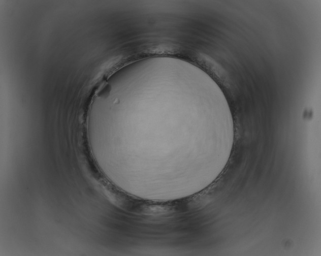 X0000092280163200710121411