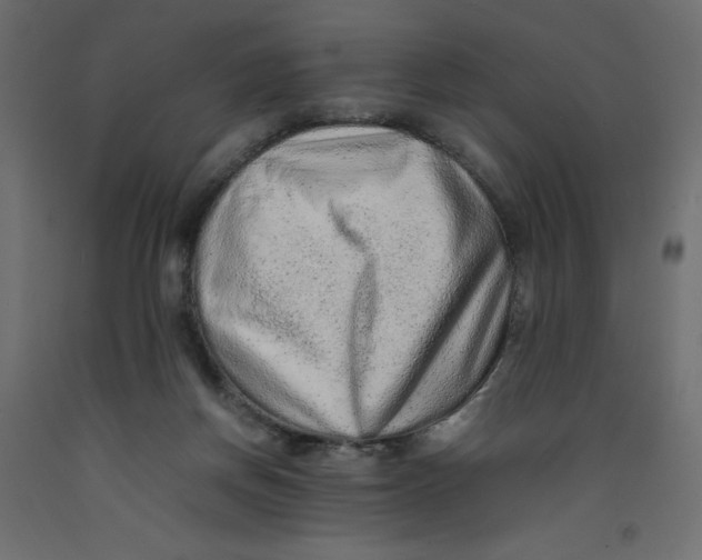 X0000092280166200710121411