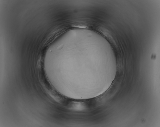 X0000092280167200710121411