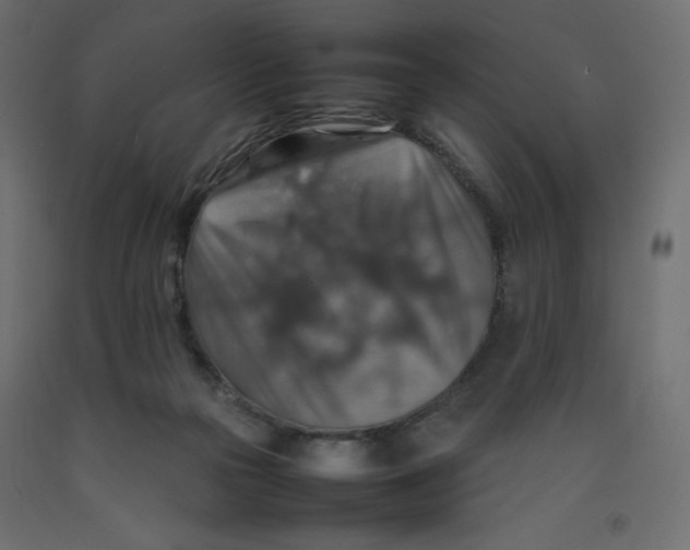 X0000092280169200710121411