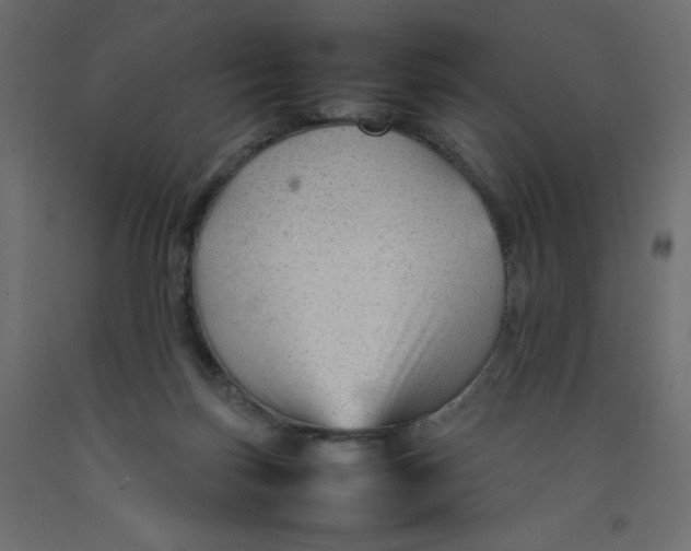 X0000092280171200710121411