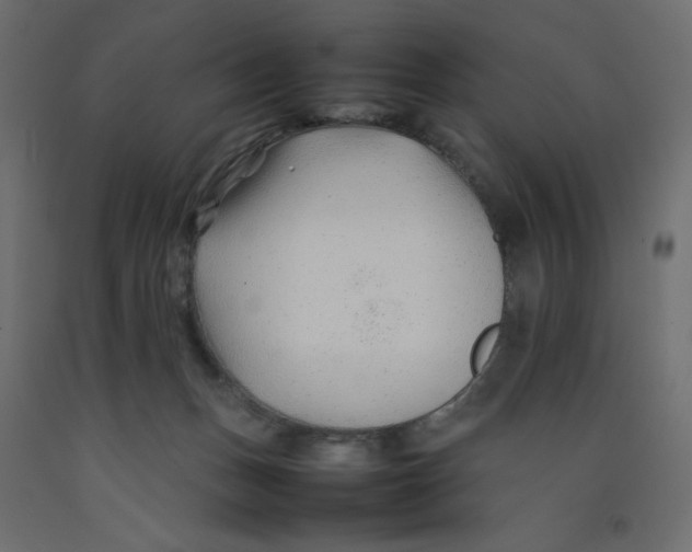 X0000092280175200710121411