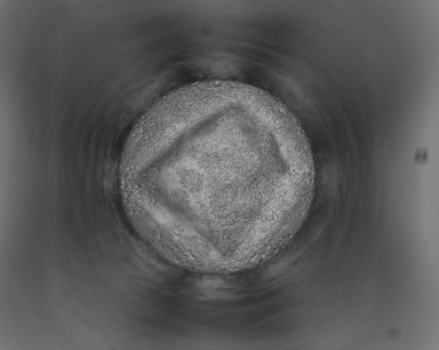 X0000092280177200710121411
