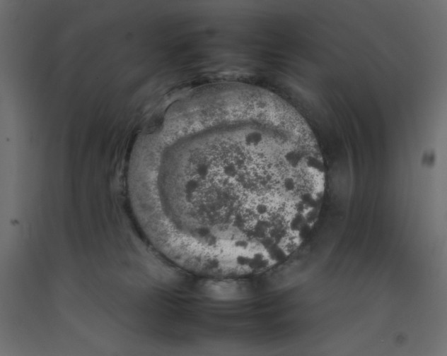 X0000092280181200710121411