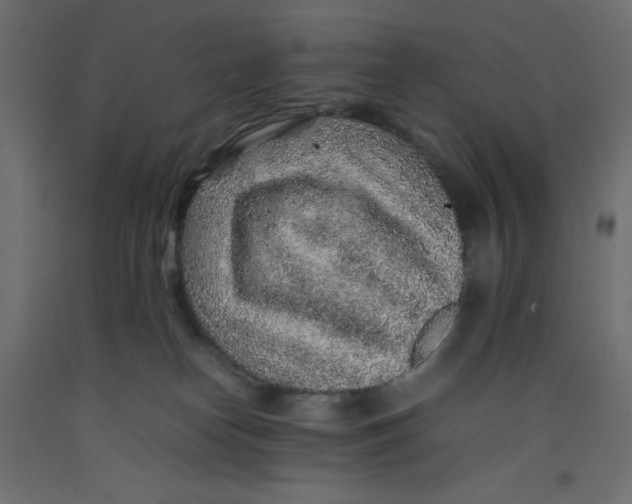 X0000092280182200710121411