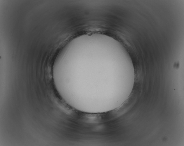 X0000092280187200710121411
