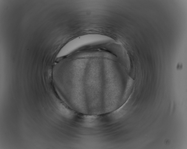 X0000092280192200710121411