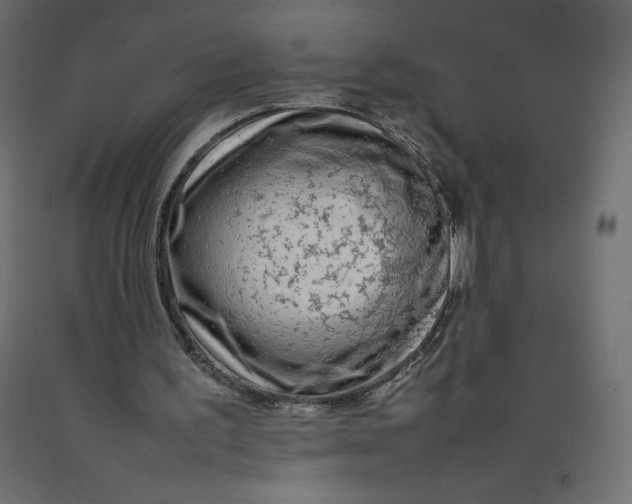 X0000092280195200710121410