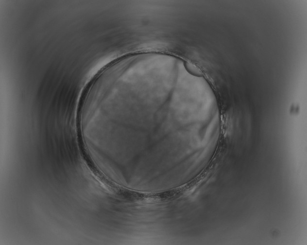 X0000092280196200710121410