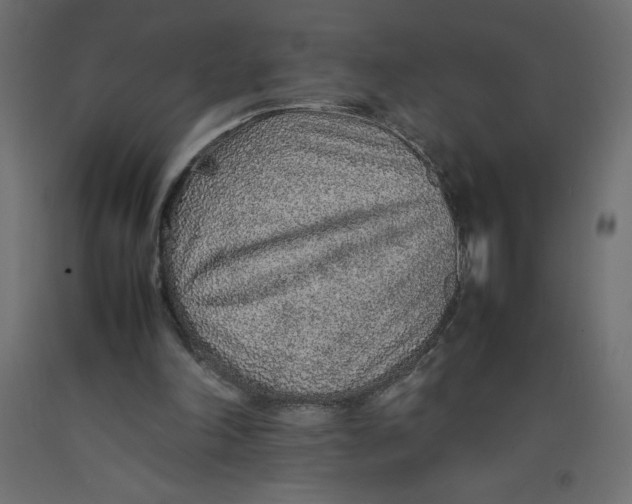 X0000092280198200710121410