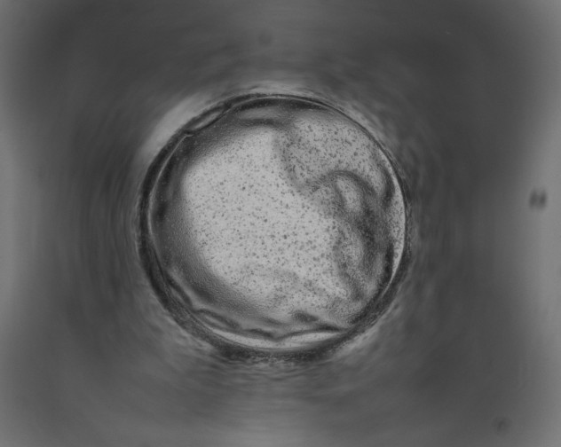 X0000092280199200710121410