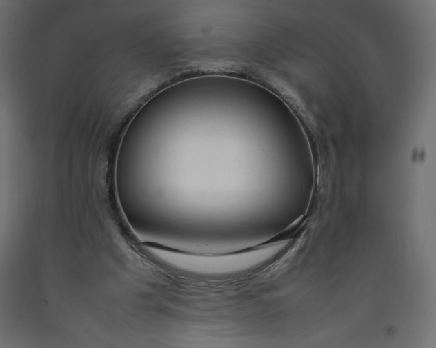 X0000092280201200710121410