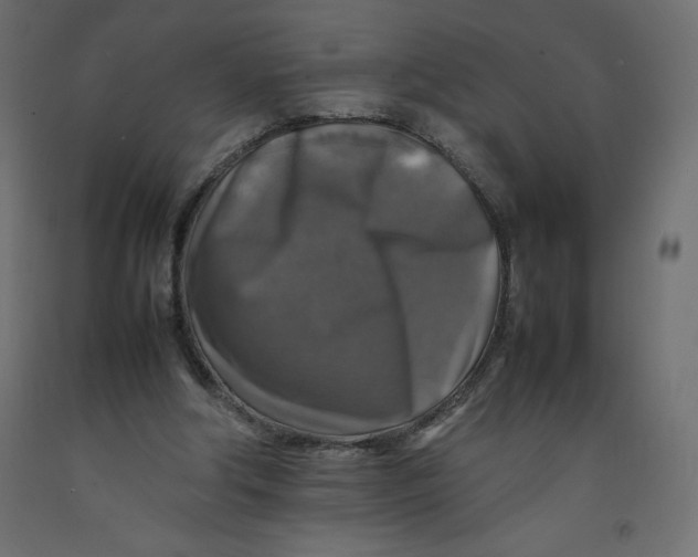 X0000092280202200710121410