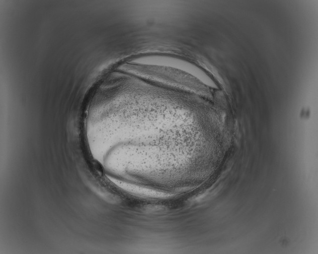 X0000092280203200710121410