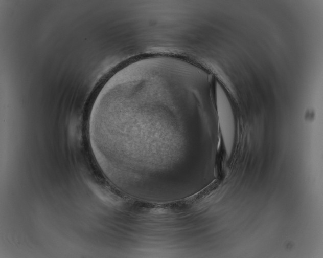 X0000092280204200710121410