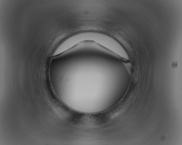 X0000092280207200710121410