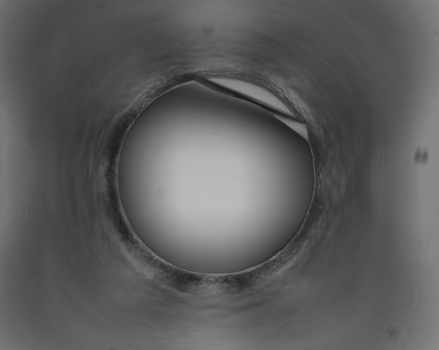 X0000092280209200710121410