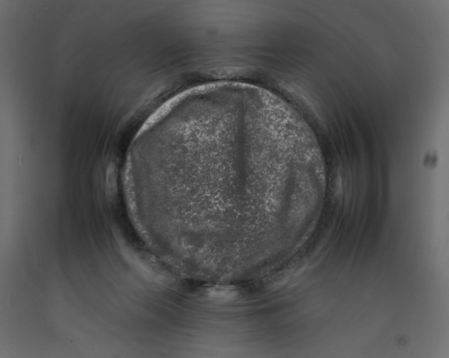 X0000092280214200710121410
