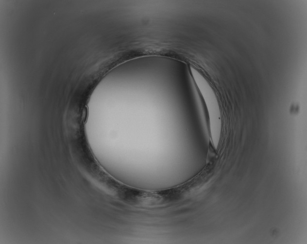 X0000092280215200710121410