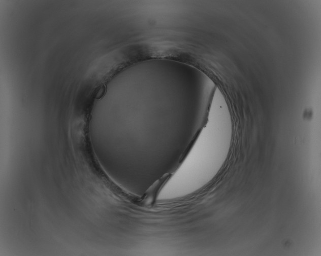X0000092280219200710121410